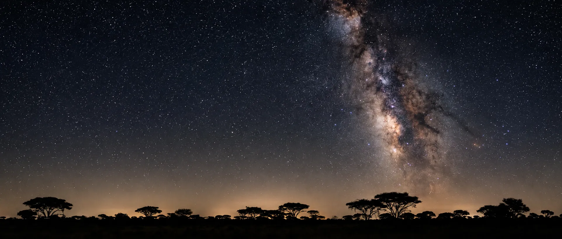 The Milky Way arching over a horizon of acacia silhouettes at night in the bush.